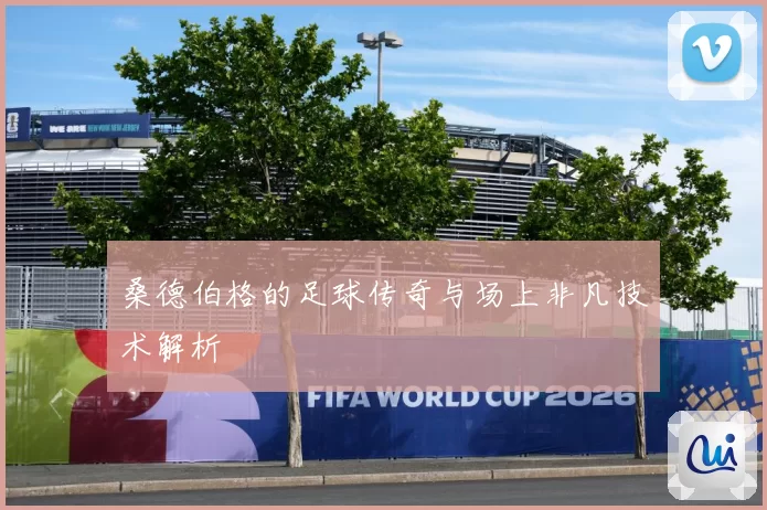 桑德伯格的足球传奇与场上非凡技术解析