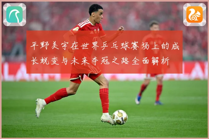 平野美宇在世界乒乓球赛场上的成长蜕变与未来夺冠之路全面解析