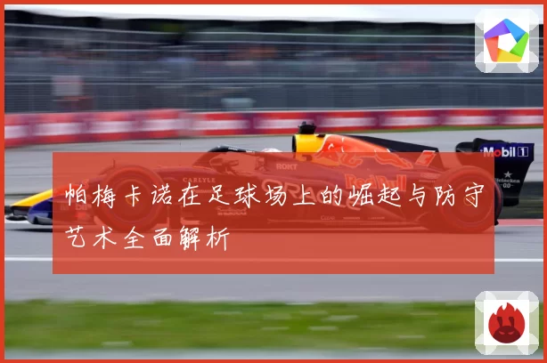帕梅卡诺在足球场上的崛起与防守艺术全面解析