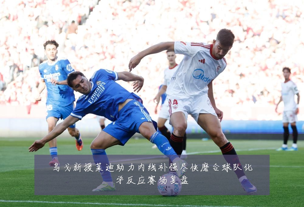 乌戈新援莱迪助力内线补强尽快磨合球队化学反应赛场复盘